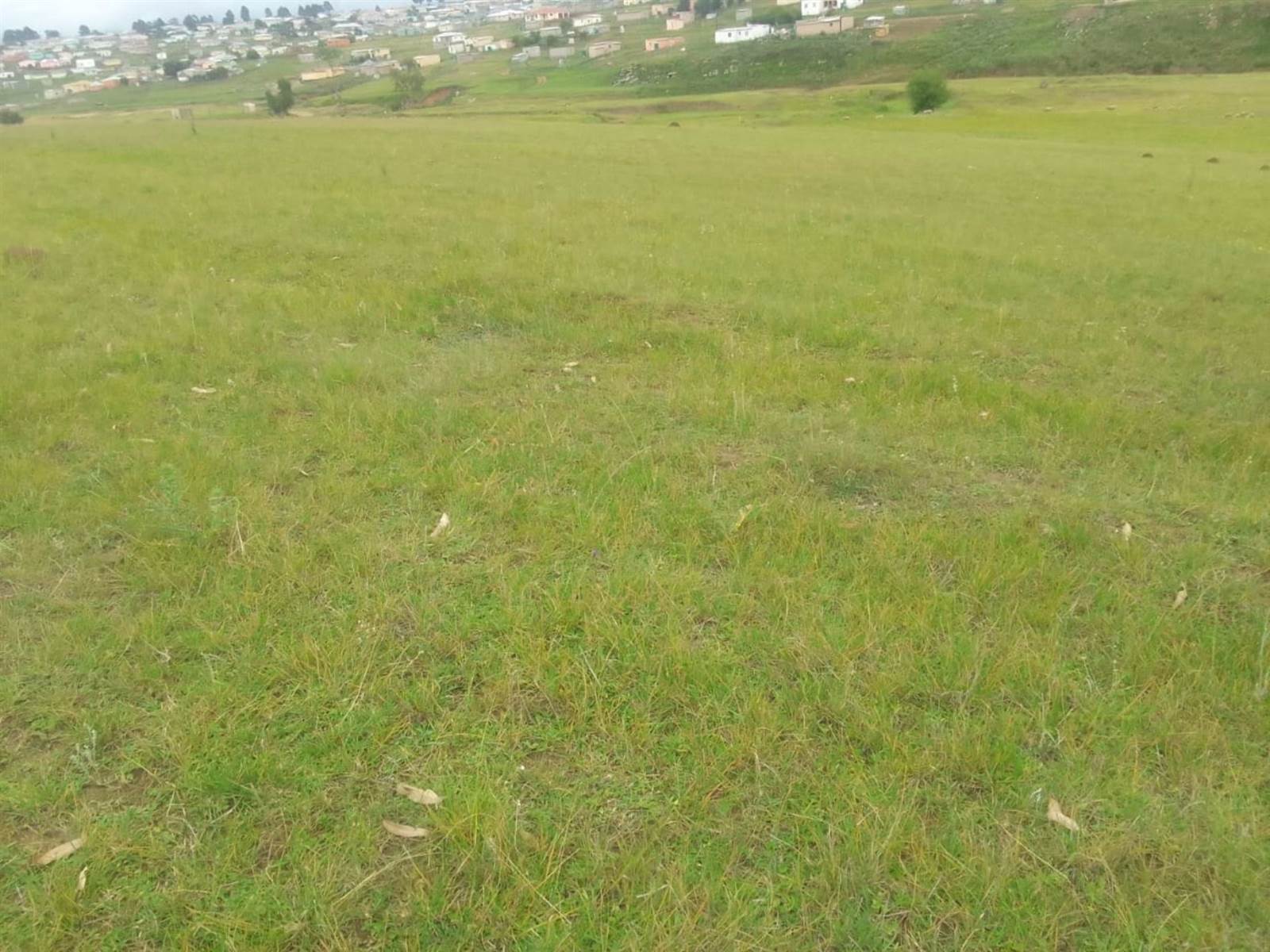 3.5 ha Land available in Mthata photo number 6