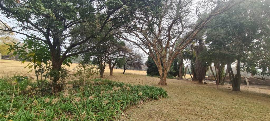3.2 ha Land available in Ruimsig photo number 5
