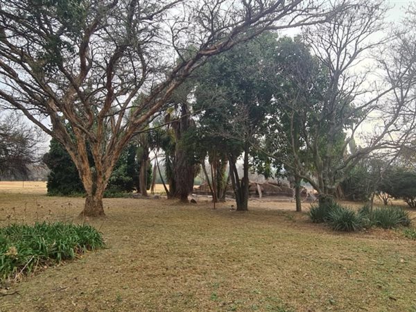 3.2 ha Land available in Ruimsig