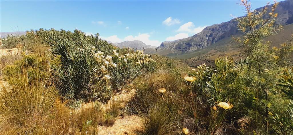 18.9 ha Land available in Paarl photo number 15