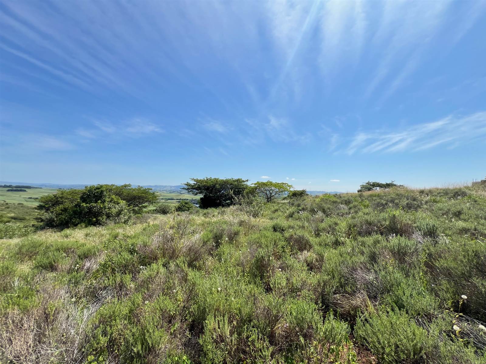 1530 m² Land available in Mtunzini photo number 5