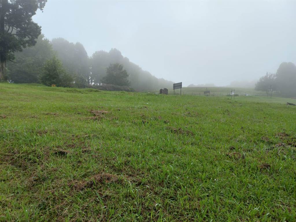 4720 m² Land available in Hilton photo number 4