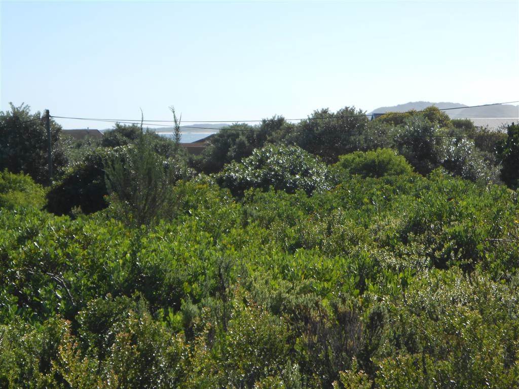 828 m² Land available in Oyster Bay photo number 3