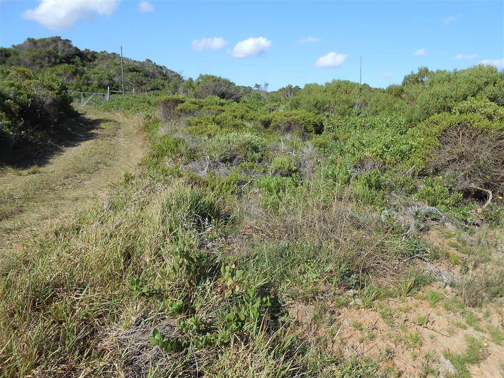 828 m² Land available in Oyster Bay photo number 6