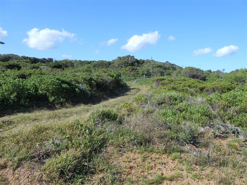 828 m² Land available in Oyster Bay photo number 5