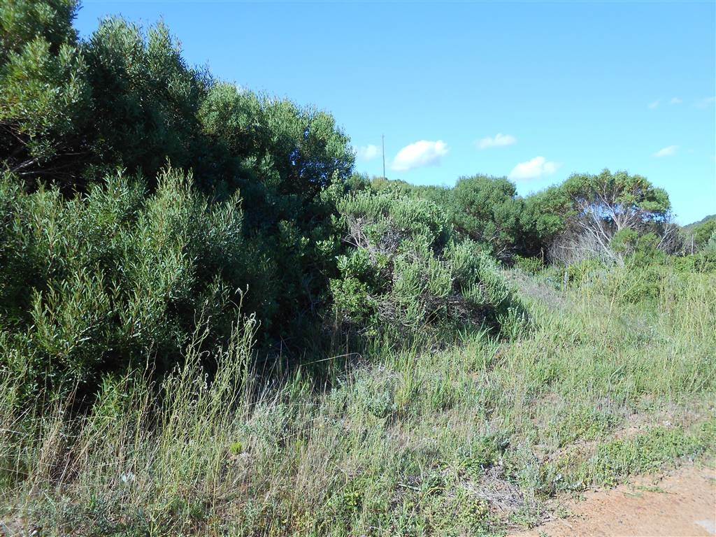 828 m² Land available in Oyster Bay photo number 8