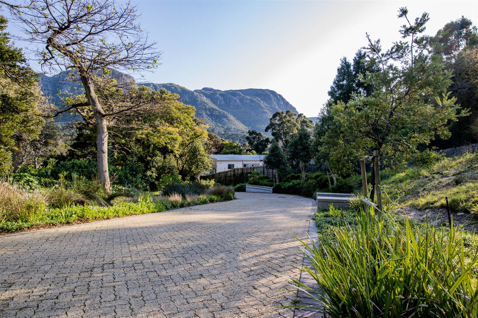 3 Bed House in Hout Bay and surrounds photo number 1