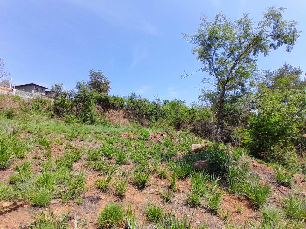 1255 m² Land available in Cashan photo number 5