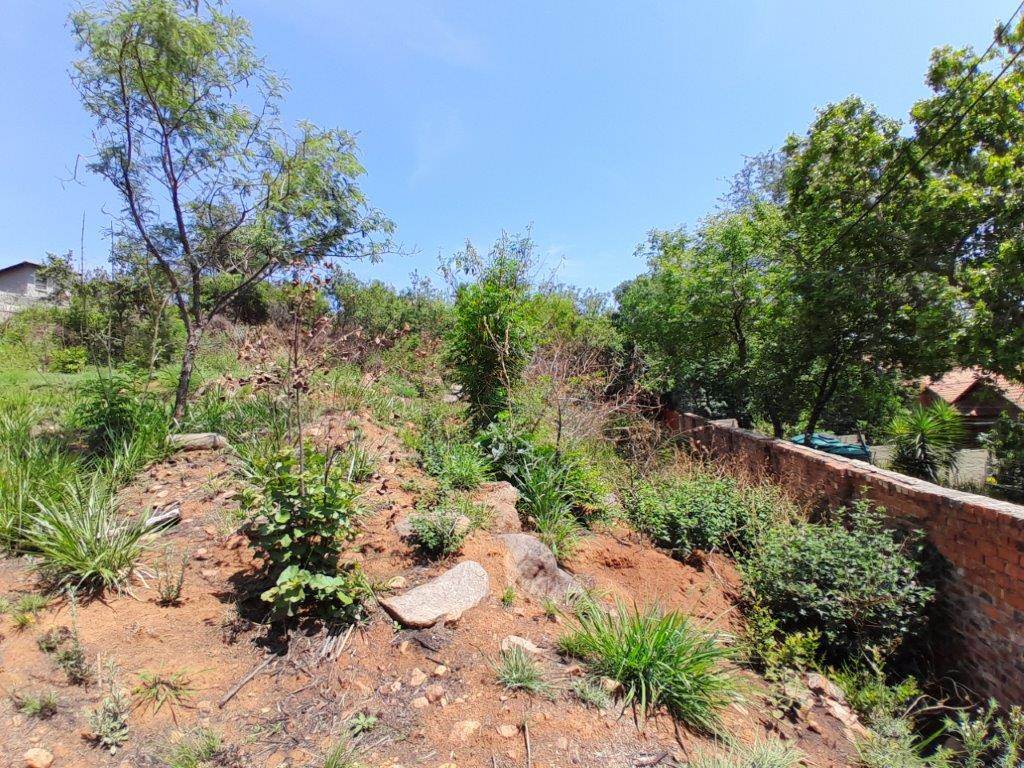 1255 m² Land available in Cashan photo number 6
