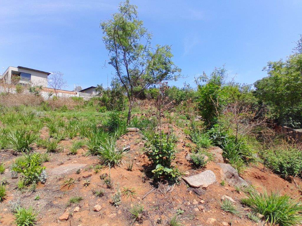1255 m² Land available in Cashan photo number 4