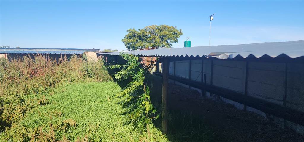 6 ha Smallholding in Bloemfontein photo number 6