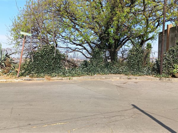 563 m² Land available in Berea