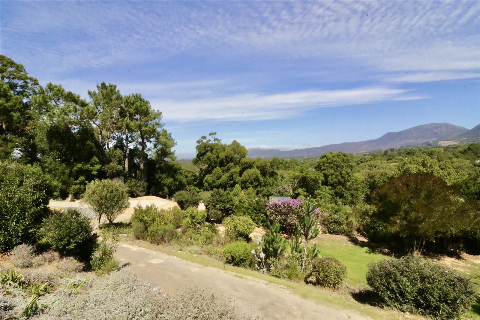 3884 m² Land available in Constantia photo number 5