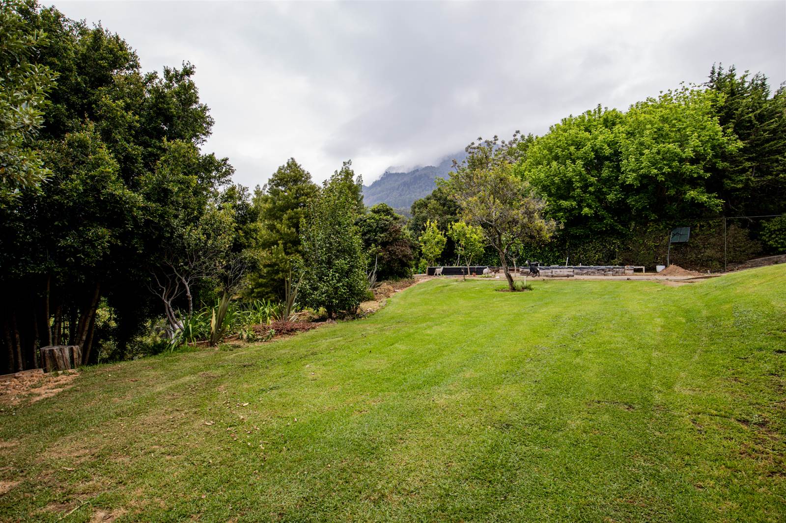 3884 m² Land available in Constantia photo number 4