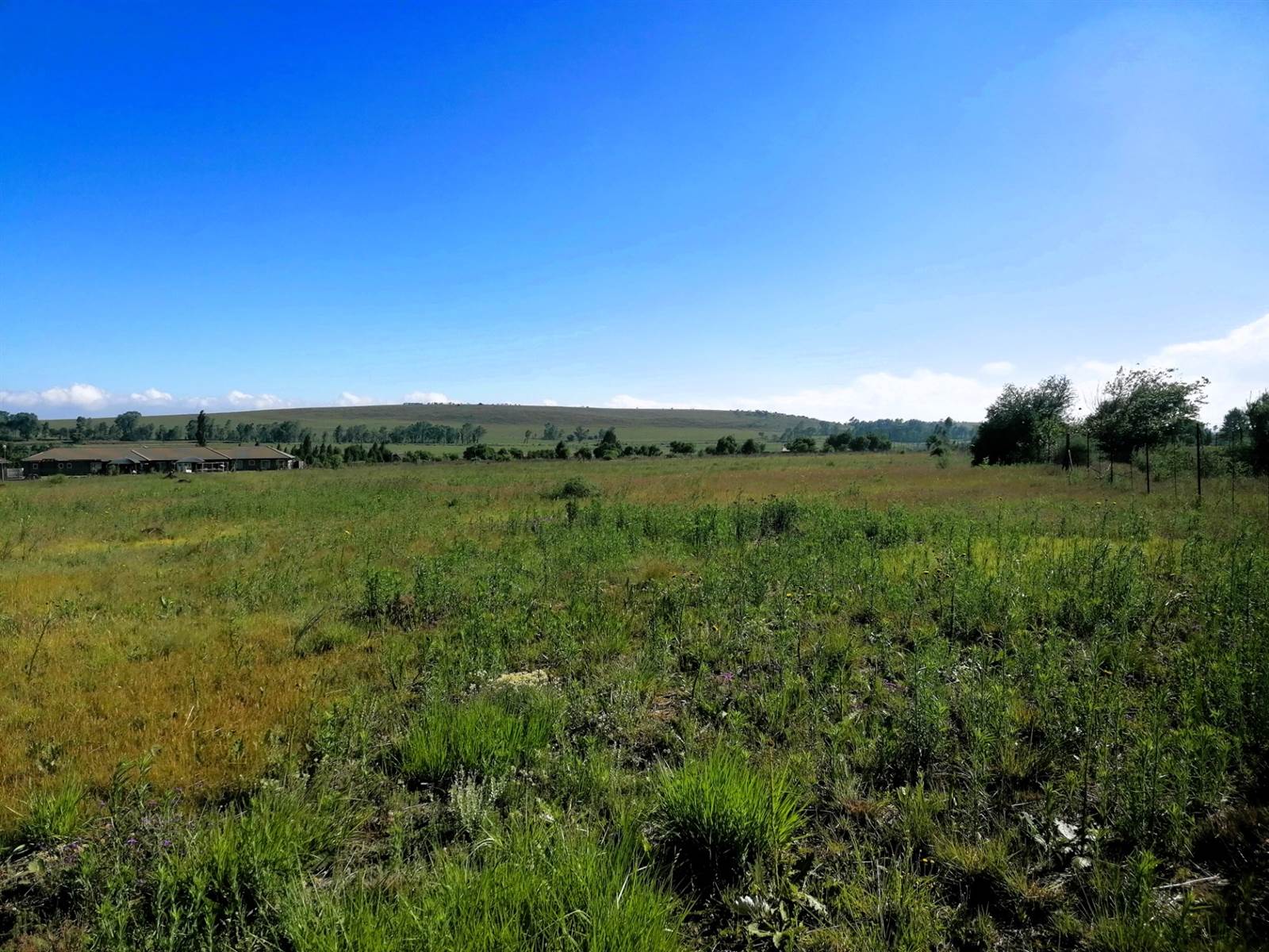 2.1 ha Land available in Blue Saddle Ranches photo number 2