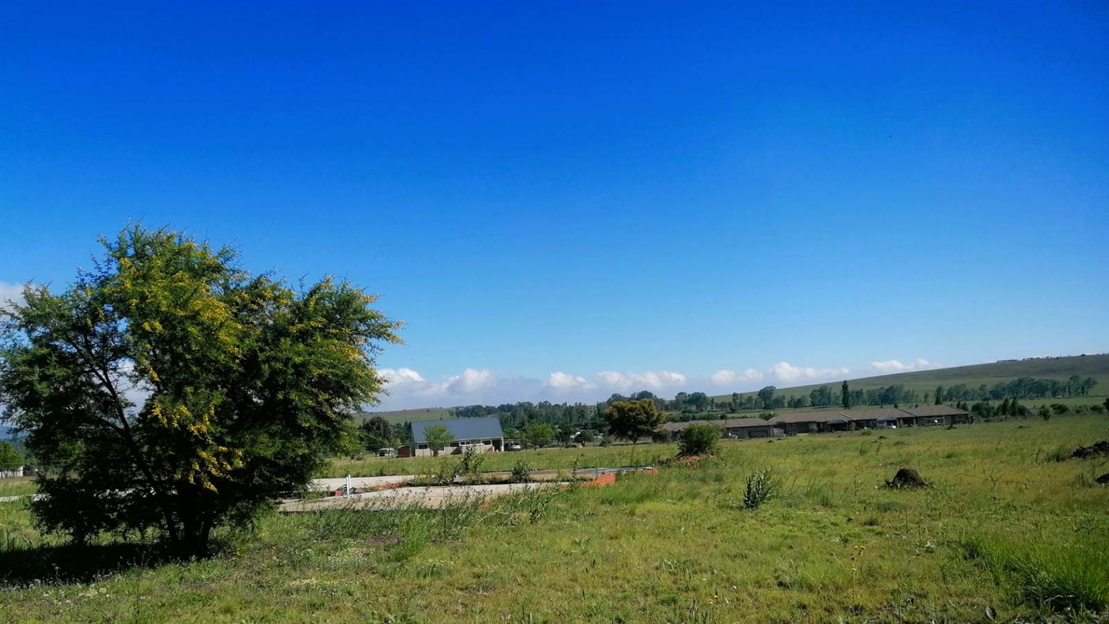 2.1 ha Land available in Blue Saddle Ranches photo number 7