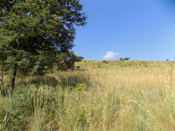 1689 m² Land available in Signal Hill