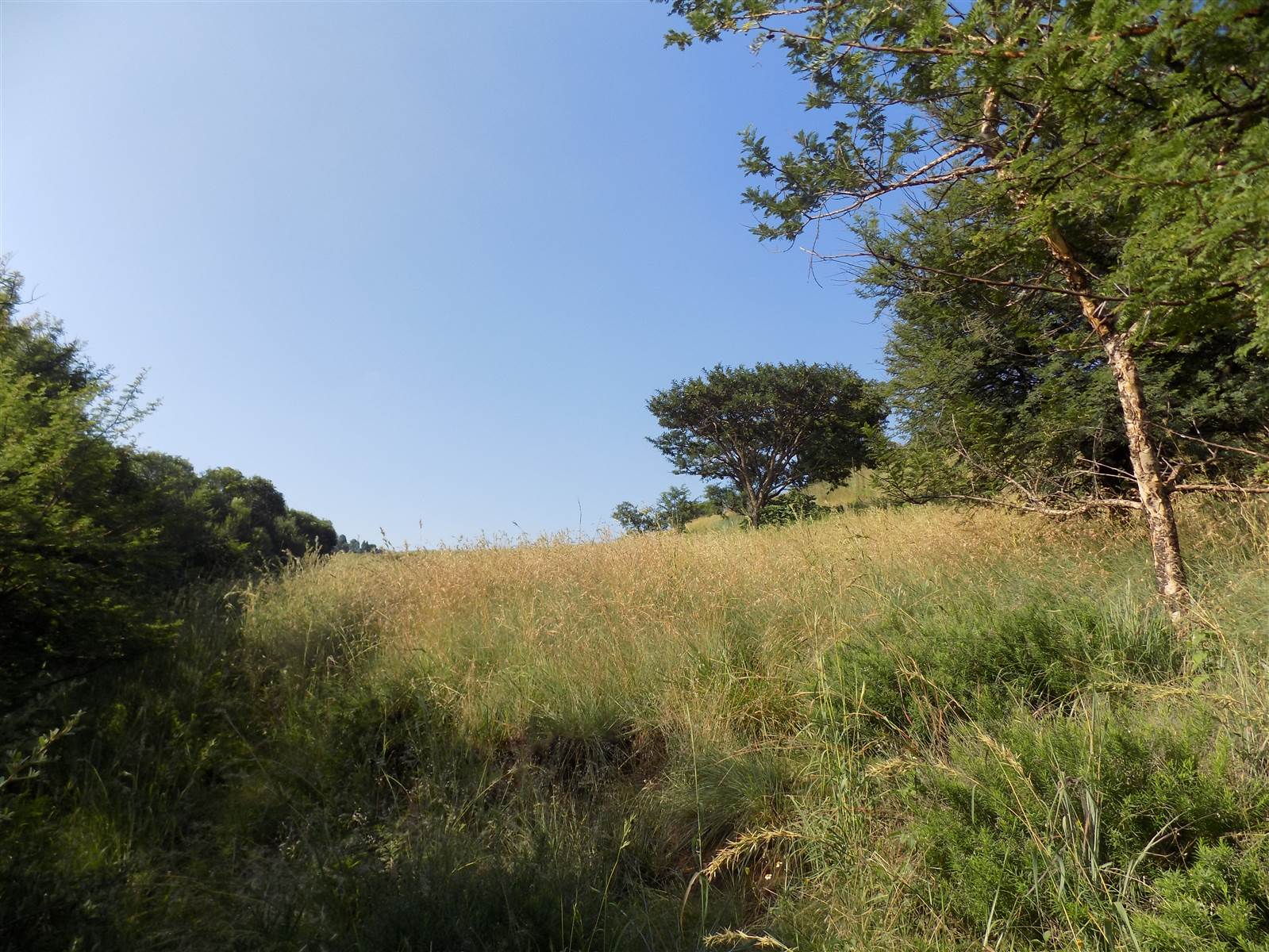 1689 m² Land available in Signal Hill photo number 4