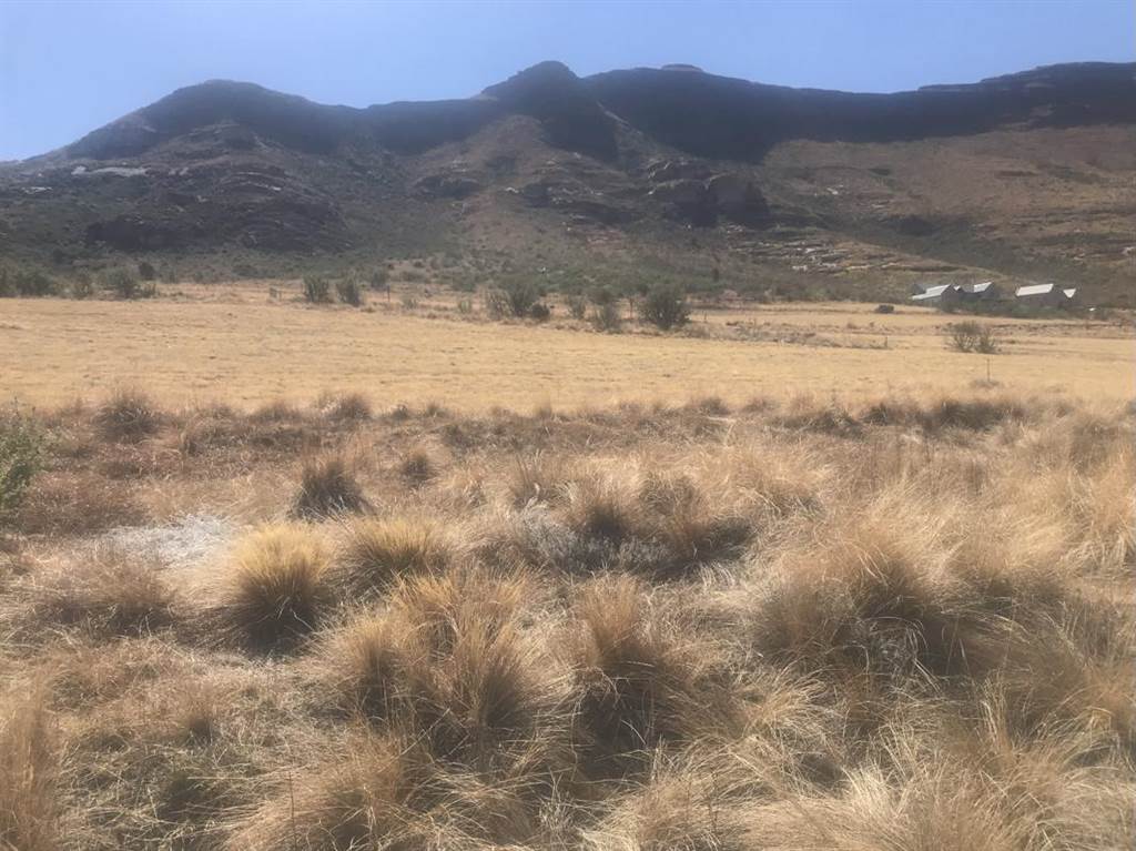 1462 m² Land available in Clarens photo number 7