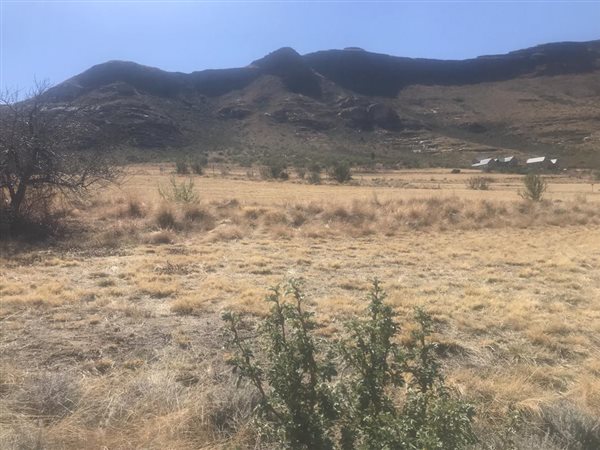1462 m² Land available in Clarens