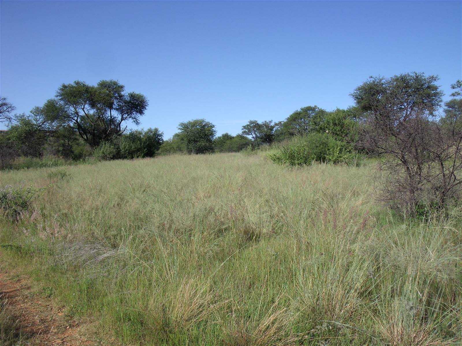 10.1 ha Land available in Parys photo number 4