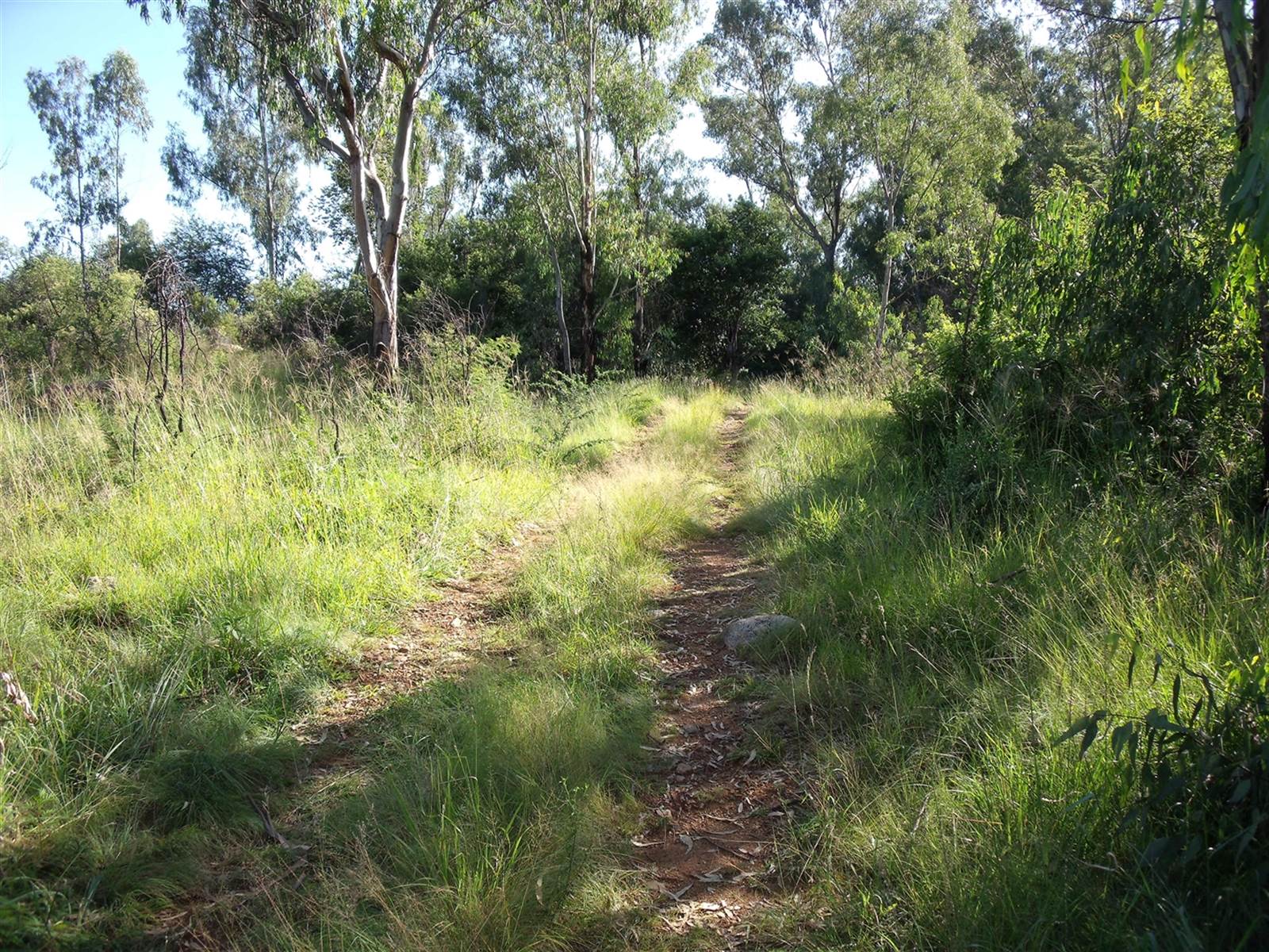 10.1 ha Land available in Parys photo number 3