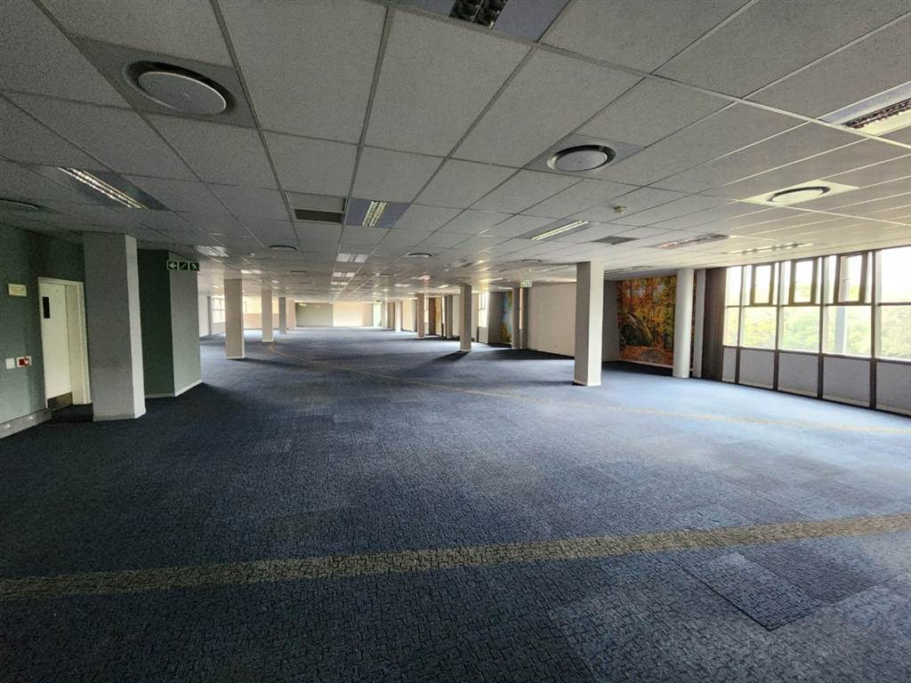 895  m² Commercial space in Ashlea Gardens photo number 13