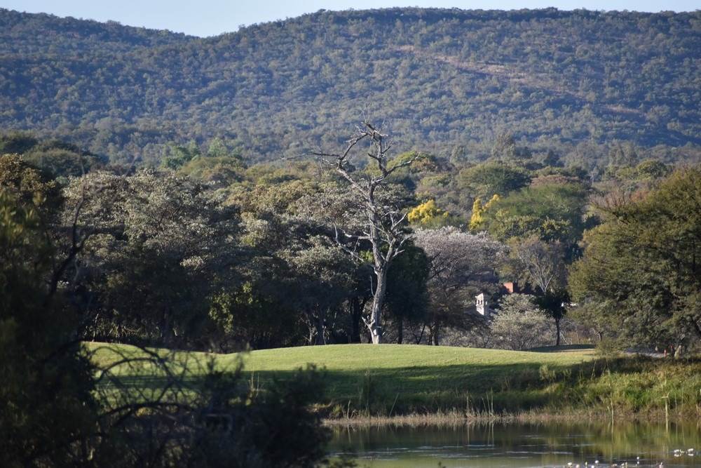 984 m² Land available in Koro Creek Golf Estate photo number 6