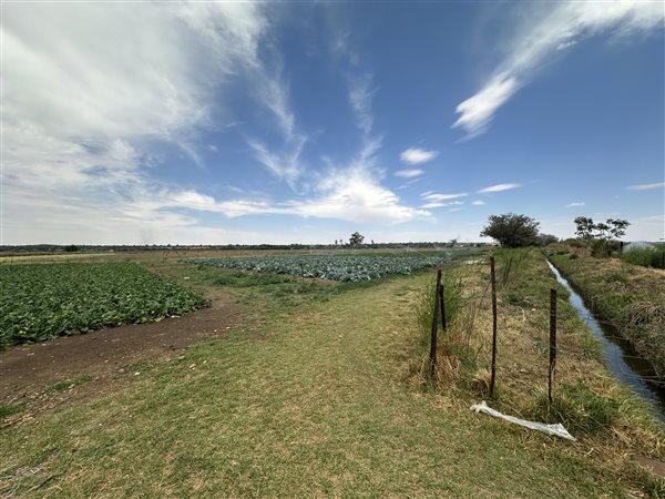 37.8 ha Smallholding