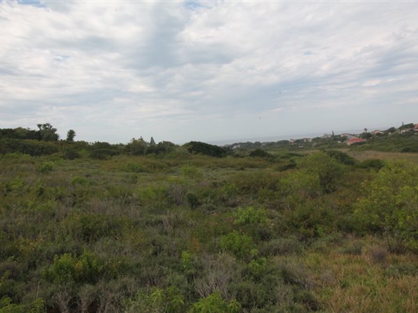 1011 m² Land available in Forest Downs
