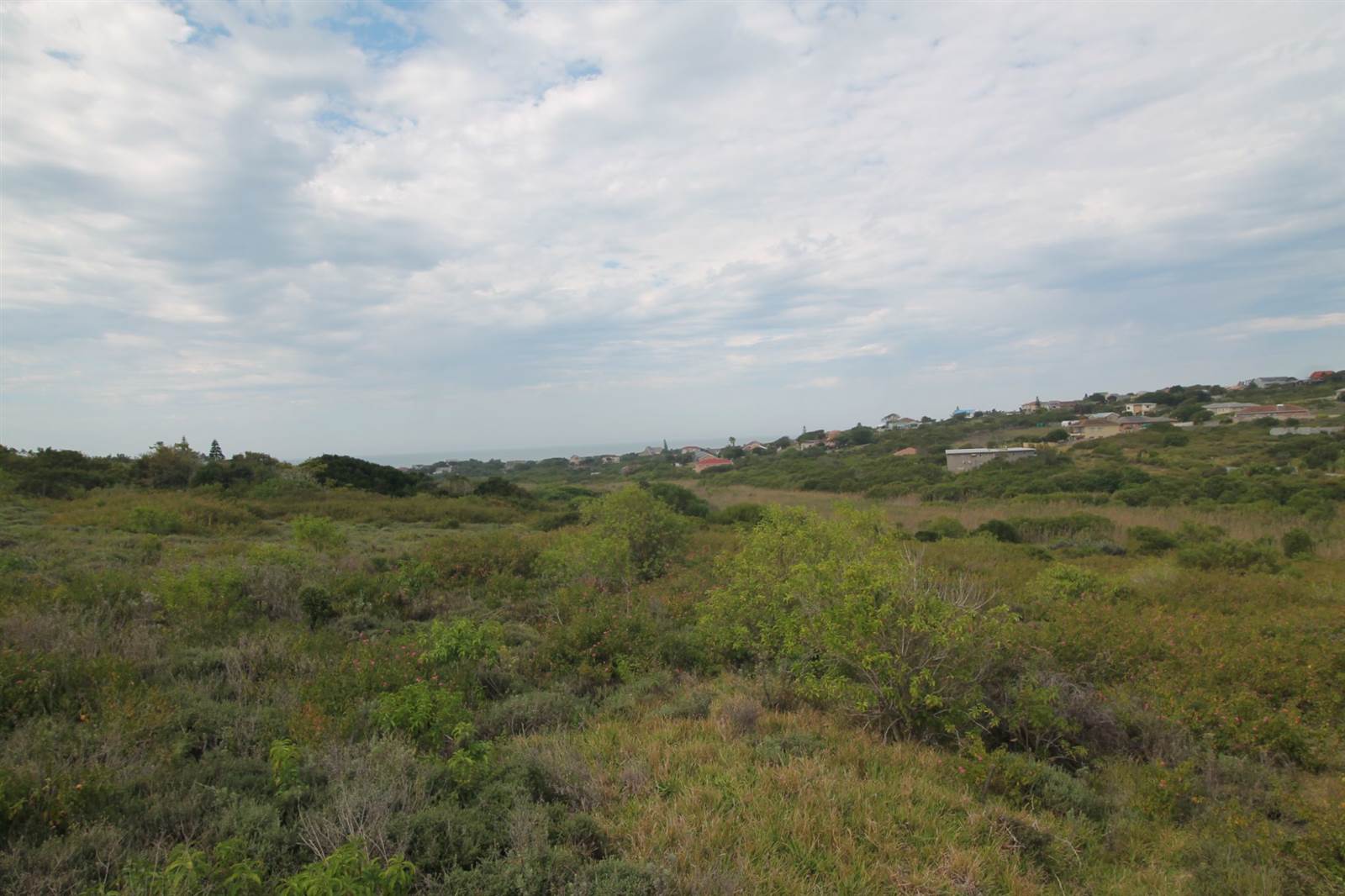 1011 m² Land available in Forest Downs photo number 6