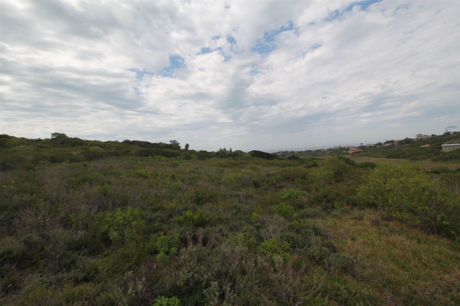1011 m² Land available in Forest Downs photo number 5