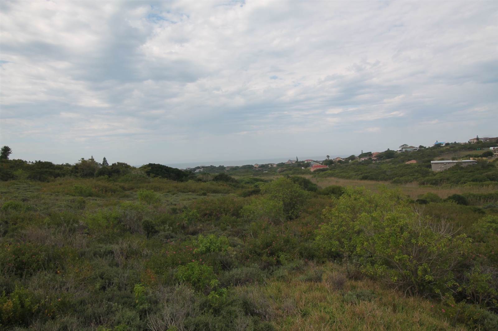1011 m² Land available in Forest Downs photo number 4