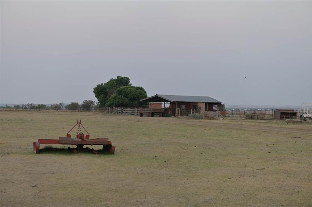 295 ha Farm in Bultfontein photo number 16