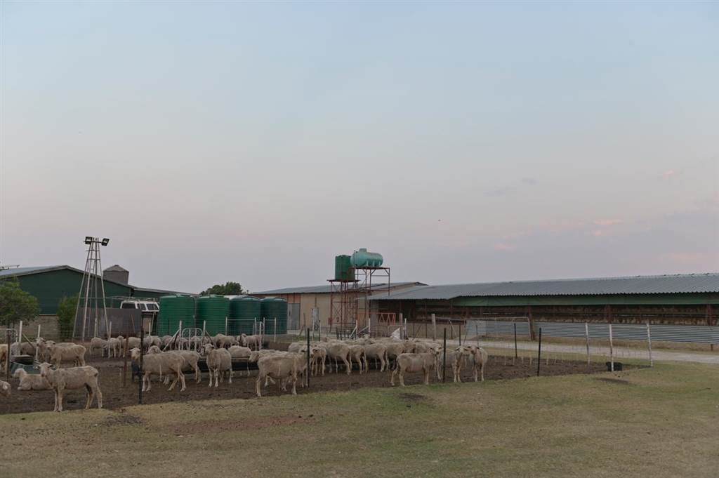 295 ha Farm in Bultfontein photo number 14
