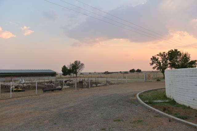 295 ha Farm in Bultfontein photo number 3