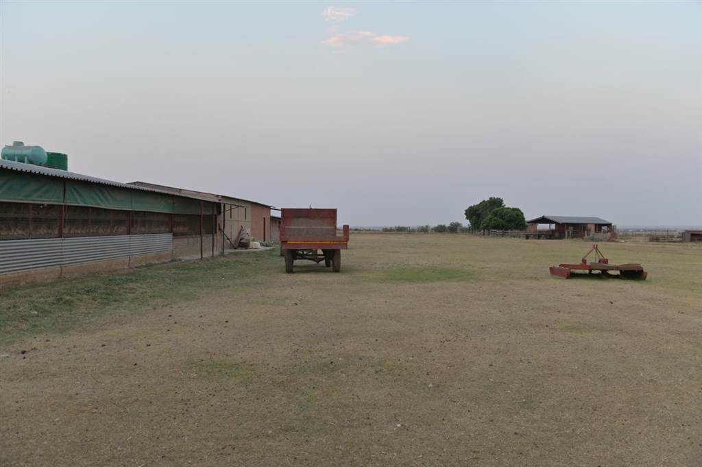 295 ha Farm in Bultfontein photo number 15