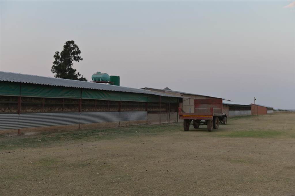295 ha Farm in Bultfontein photo number 17