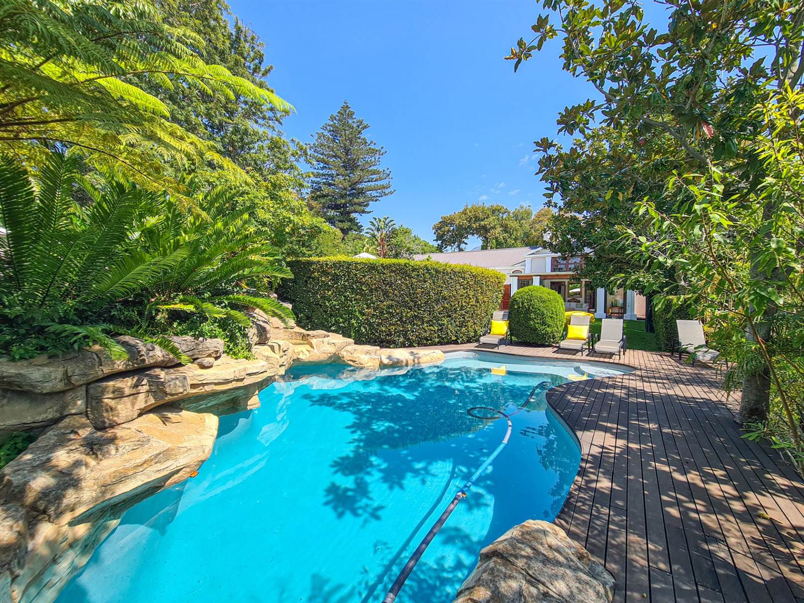 7 Bed House in Constantia photo number 8