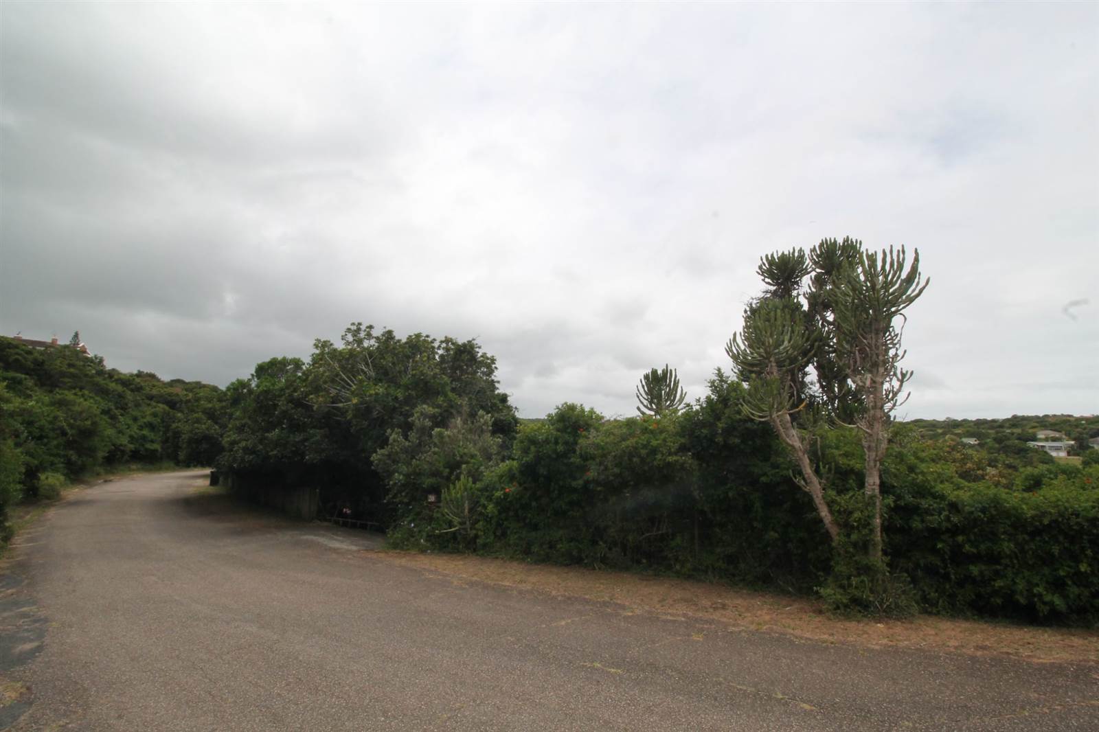 746 m² Land available in Seafield photo number 4