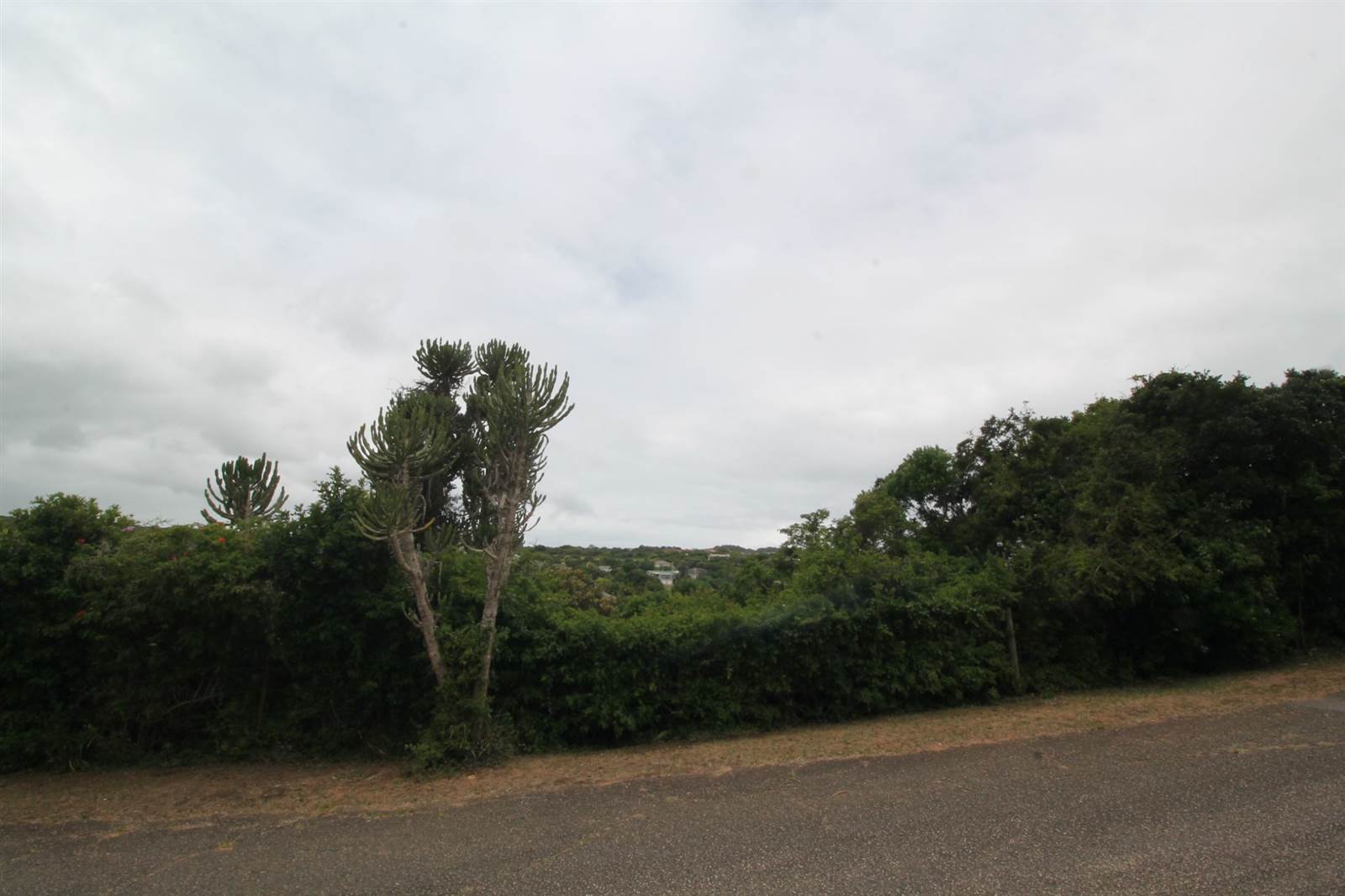 746 m² Land available in Seafield photo number 3