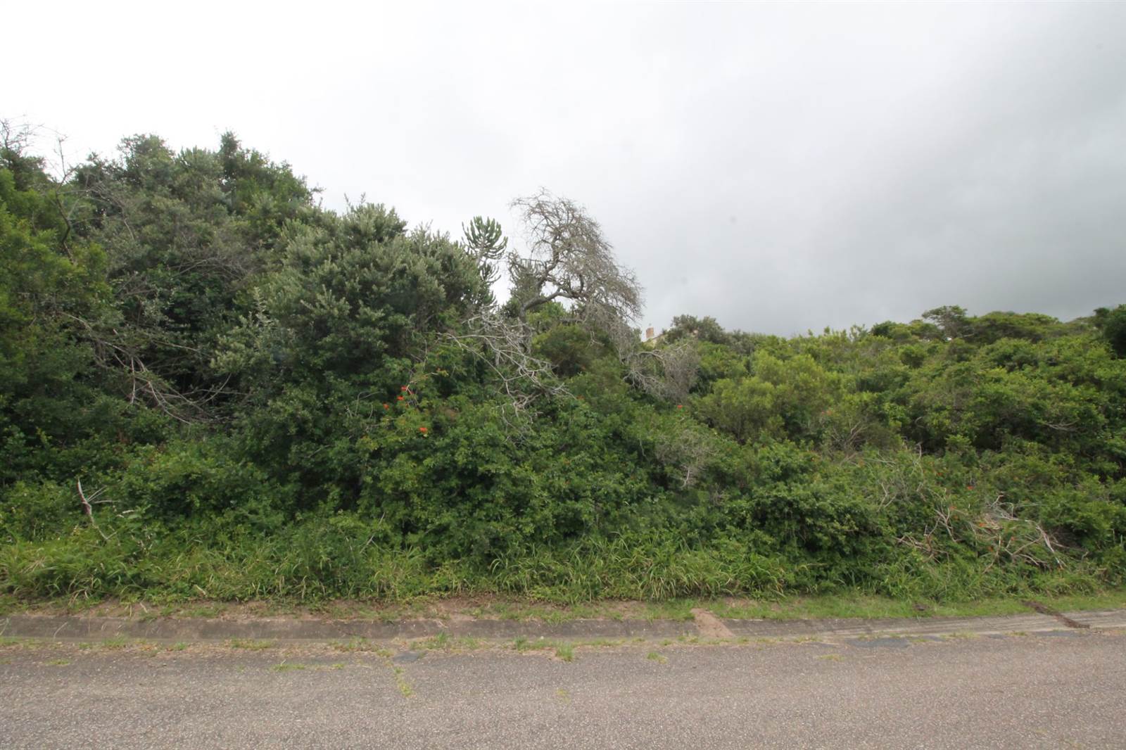 746 m² Land available in Seafield photo number 6