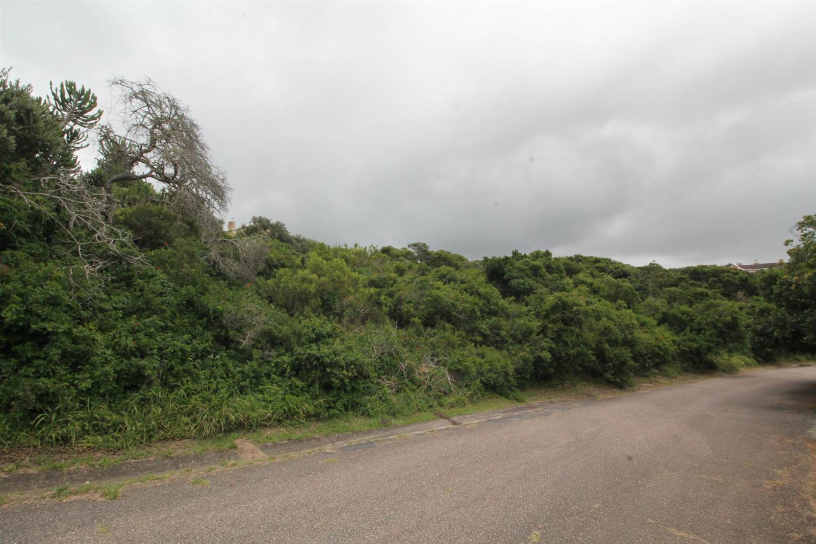 746 m² Land available in Seafield photo number 7