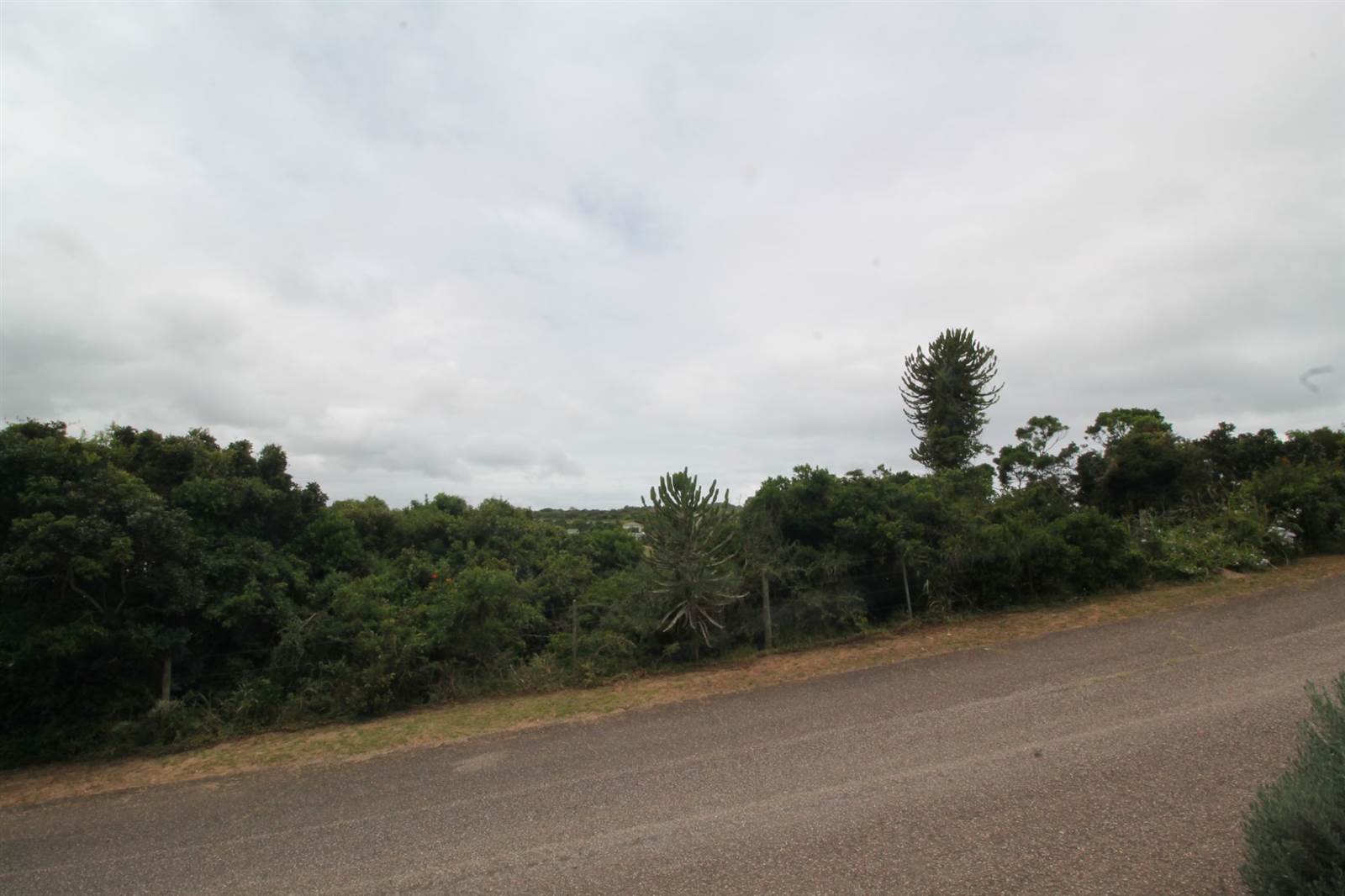 746 m² Land available in Seafield photo number 5