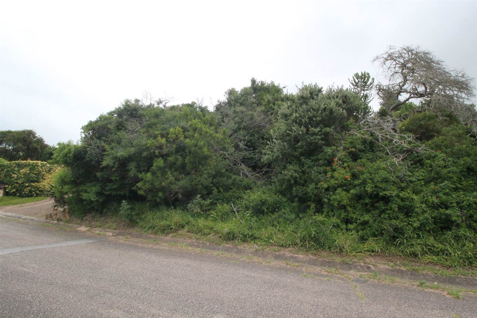 746 m² Land available in Seafield photo number 2