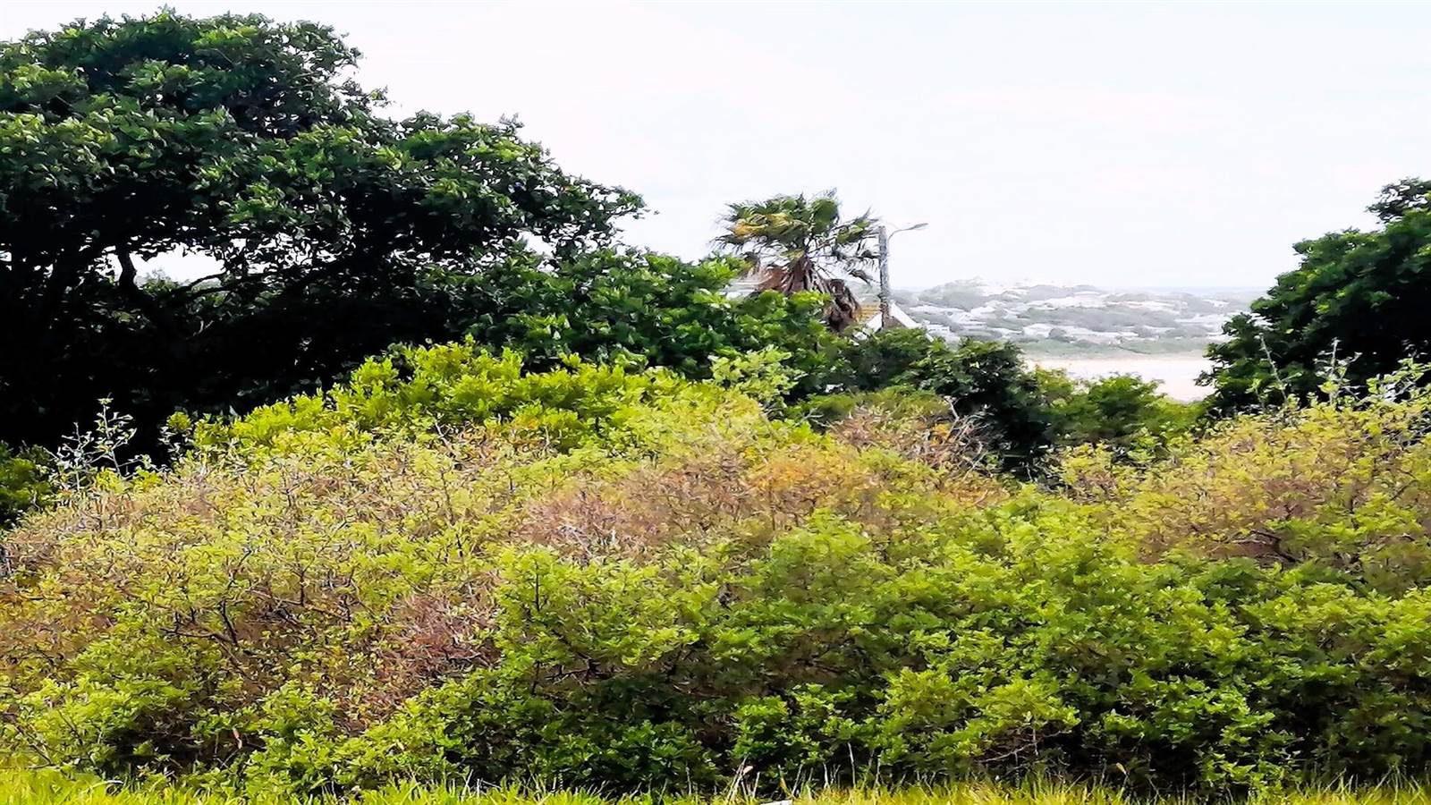 1067 m² Land available in Boesmansriviermond photo number 16