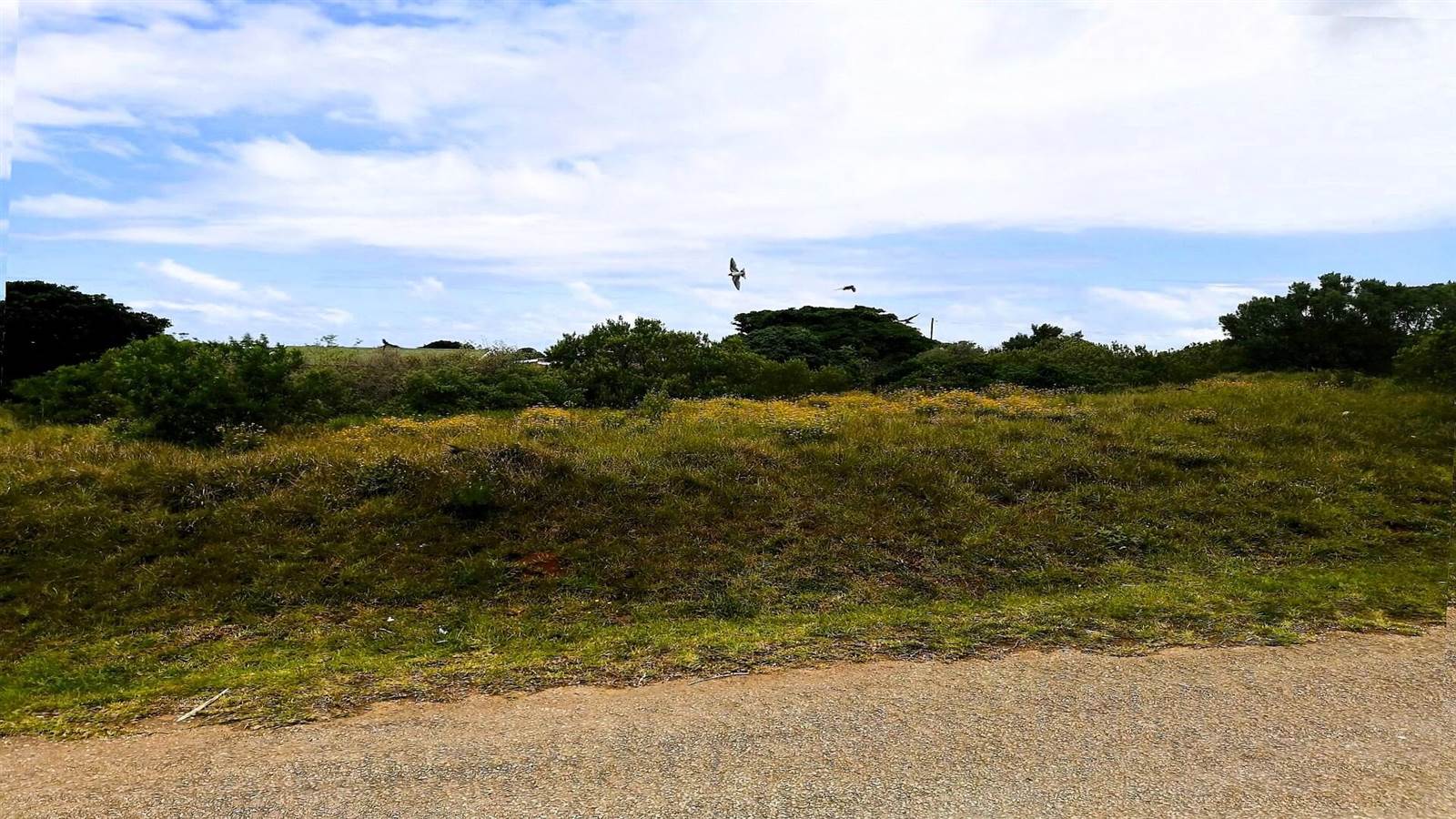 1067 m² Land available in Boesmansriviermond photo number 11