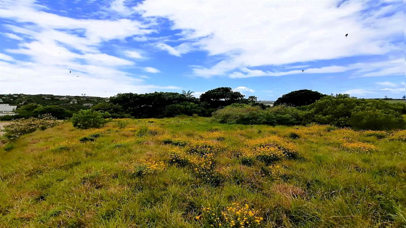 1067 m² Land available in Boesmansriviermond photo number 15