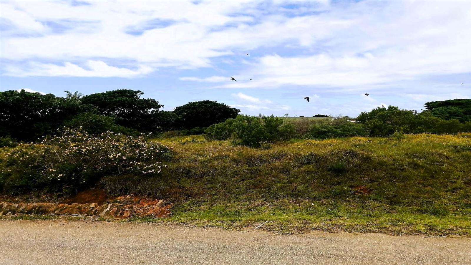 1067 m² Land available in Boesmansriviermond photo number 10
