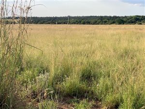 14.2 ha Farm in Mooiplaats AH